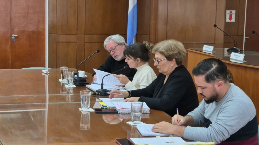 Silvina Bravino estuvo contestando preguntas de los concejales
